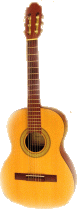 acoustic guitar